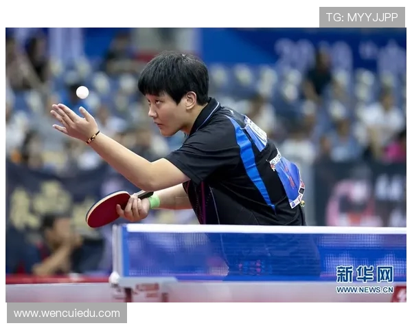 武汉乒乓球队的拼搏历程与荣耀时刻全景回顾